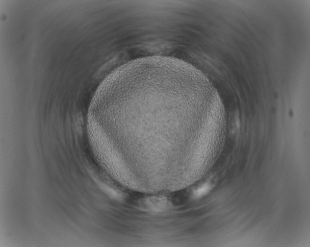 X0000067380279200604131914