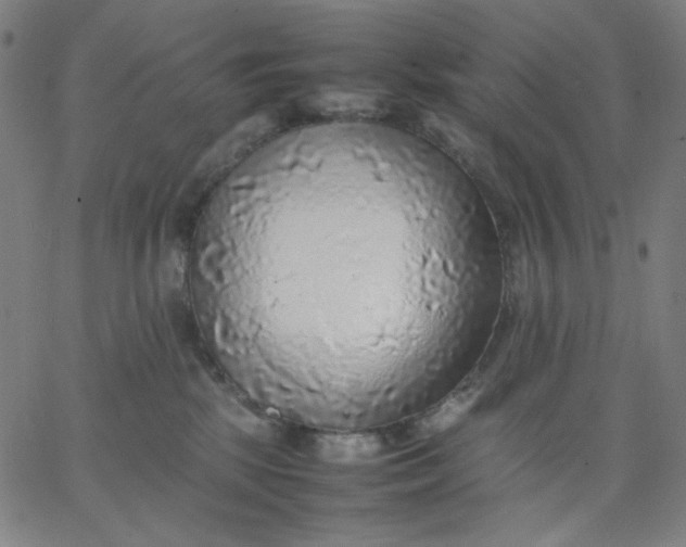 X0000067380281200604131914