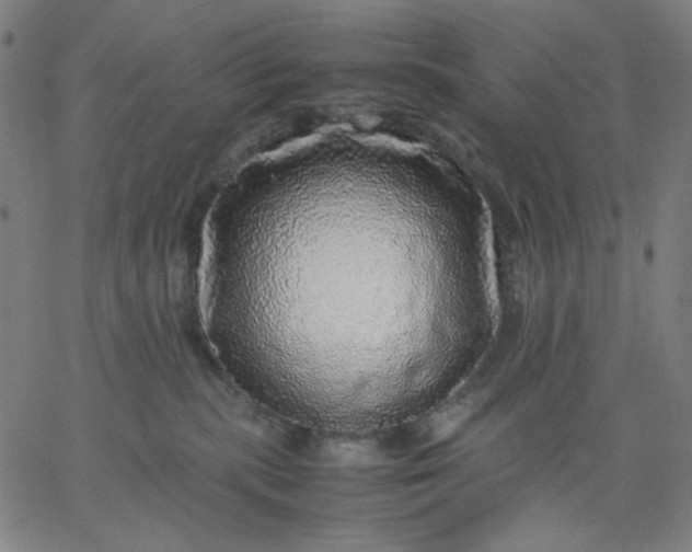 X0000067380283200604131914