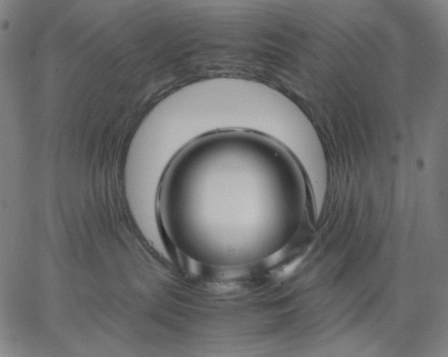 X0000067380287200604131914