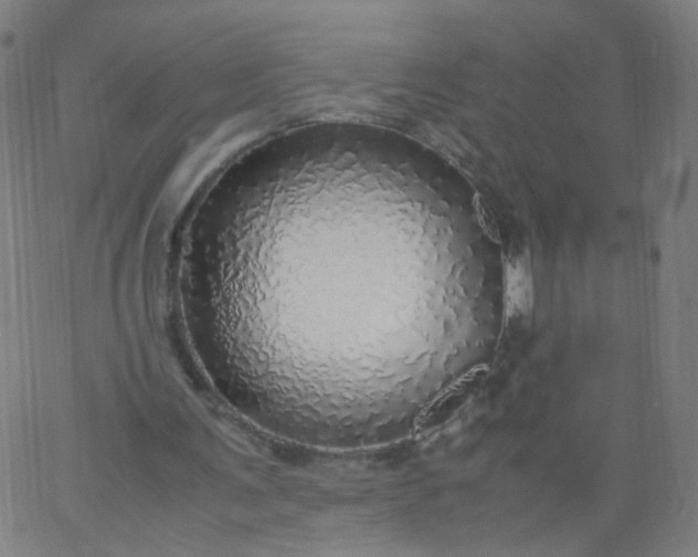 X0000067380291200604131913