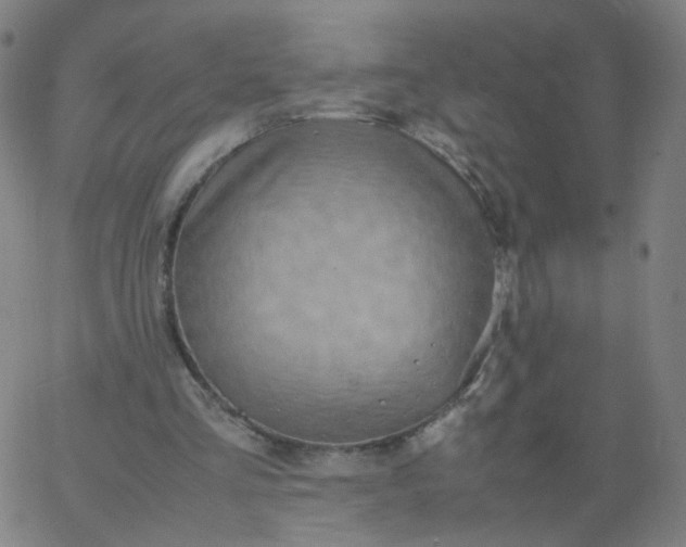 X0000067380293200604131913
