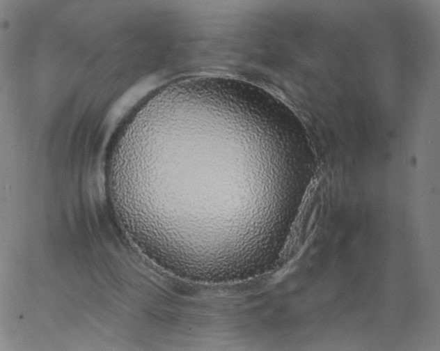 X0000067380294200604131913