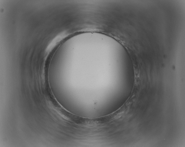 X0000067380296200604131913