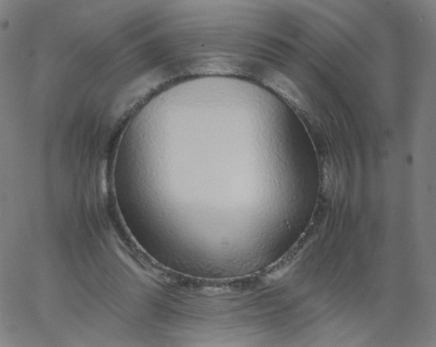 X0000067380302200604131913