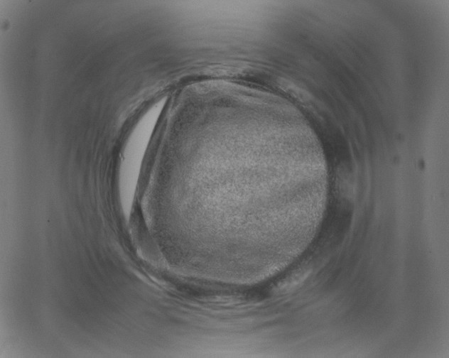 X0000067380303200604131913