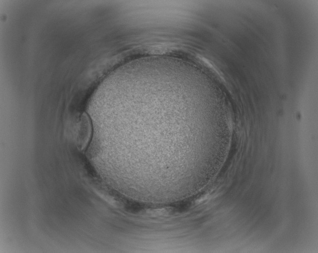 X0000067380307200604131913