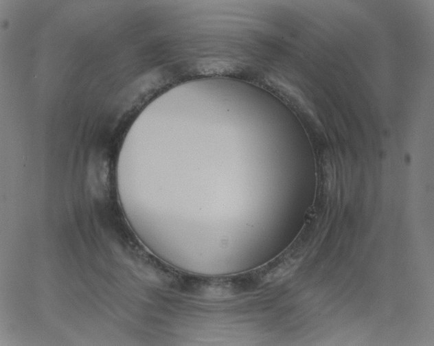 X0000067380308200604131913