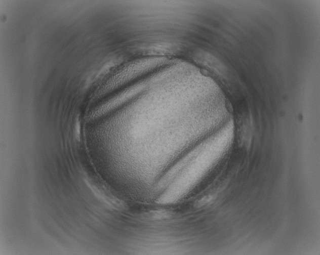 X0000067380310200604131913