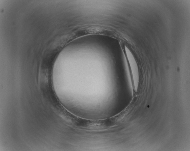 X0000067380315200604131913