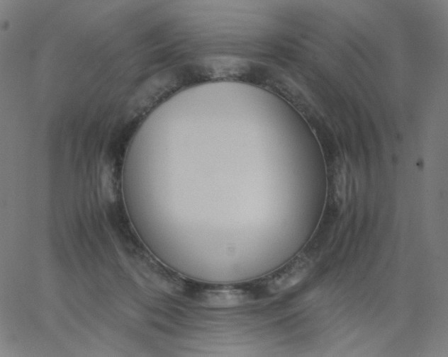 X0000067380316200604131913