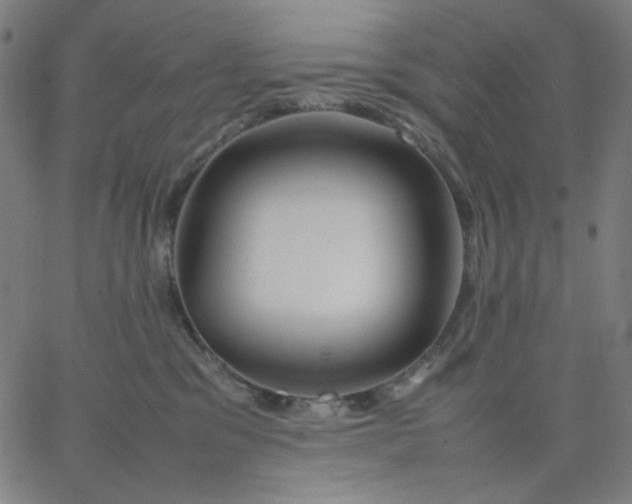 X0000067380329200604131913