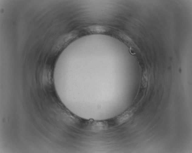 X0000067380330200604131913