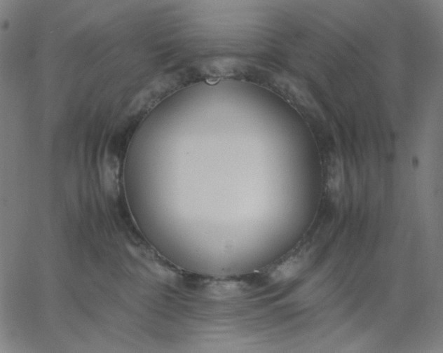 X0000067380332200604131913