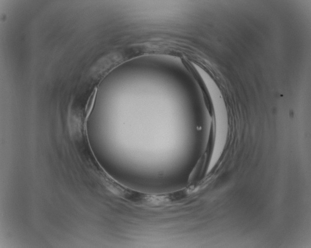 X0000067380333200604131913