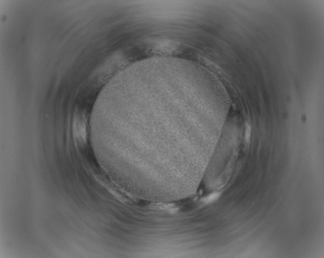 X0000067380334200604131913
