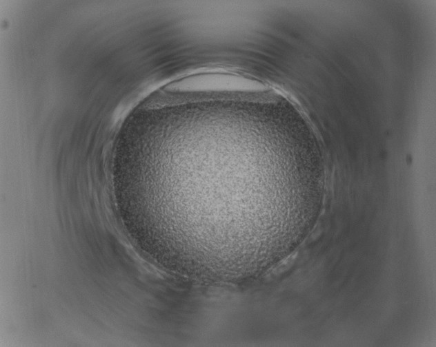 X0000067380337200604131912