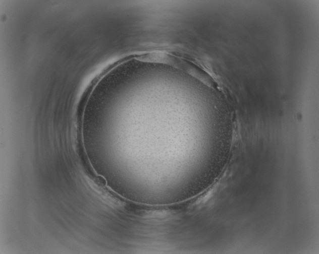 X0000067380342200604131912