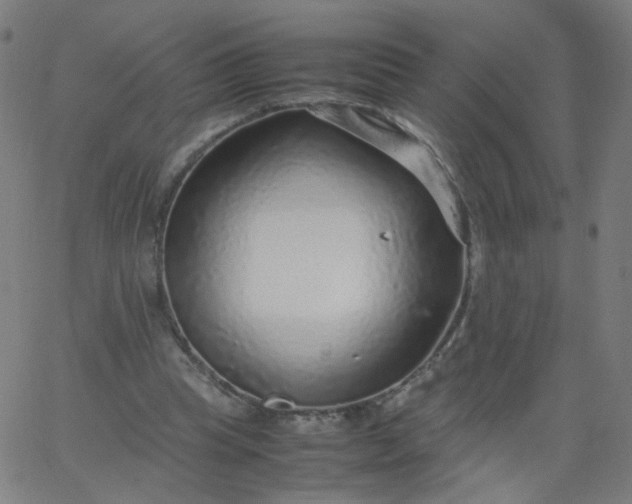 X0000067380345200604131912