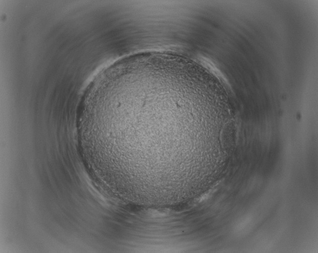 X0000067380346200604131912