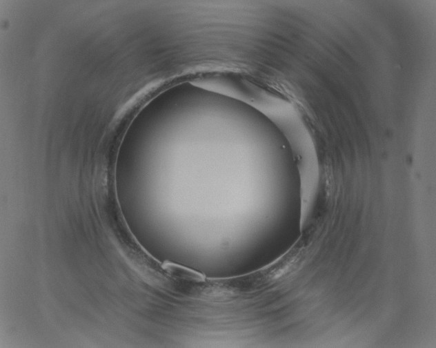 X0000067380348200604131912