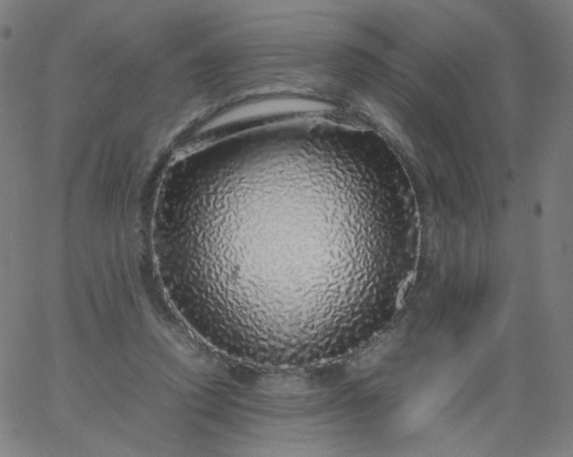 X0000067380354200604131912