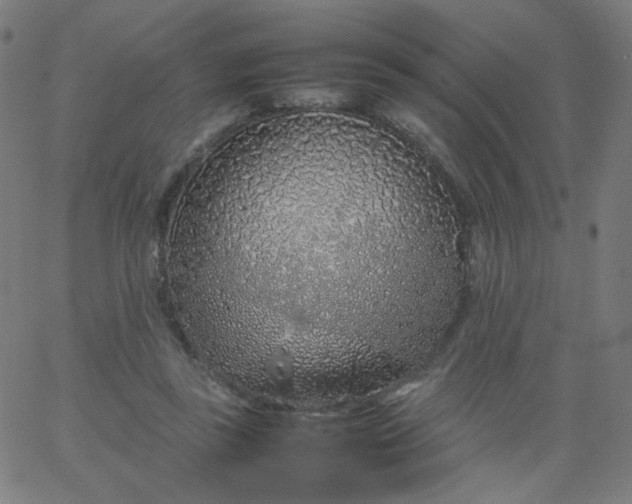 X0000067380355200604131912