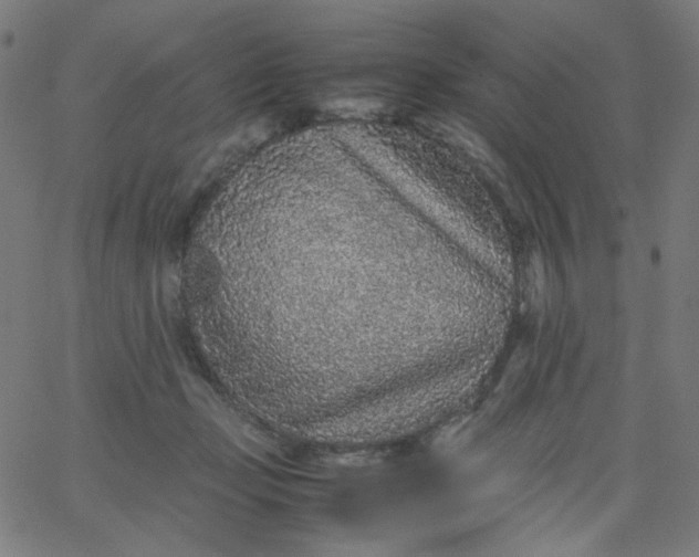 X0000067380365200604131912