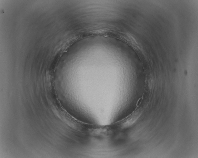 X0000067380366200604131912