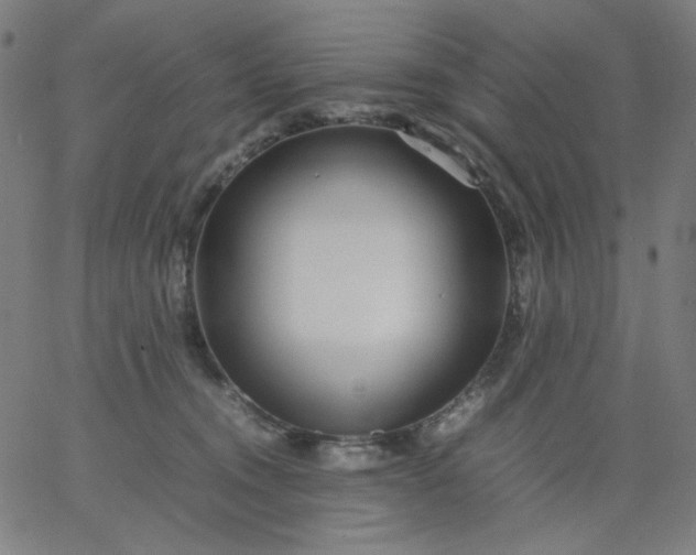 X0000067380372200604131912
