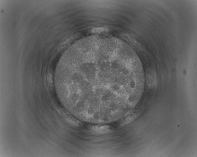 X0000067380375200604131912