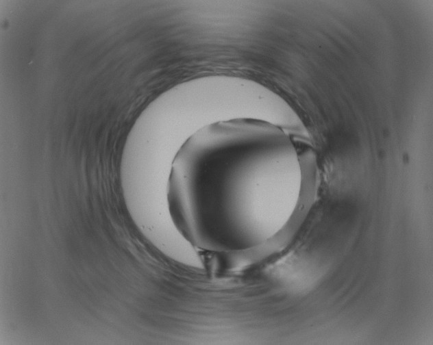 X0000067380380200604131913