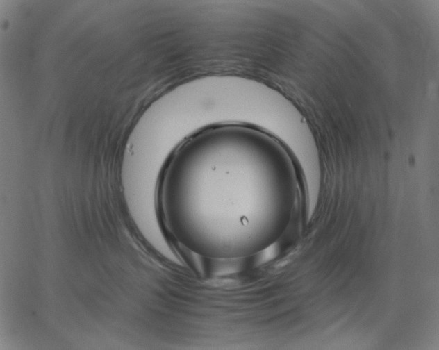 X0000067380383200604131913