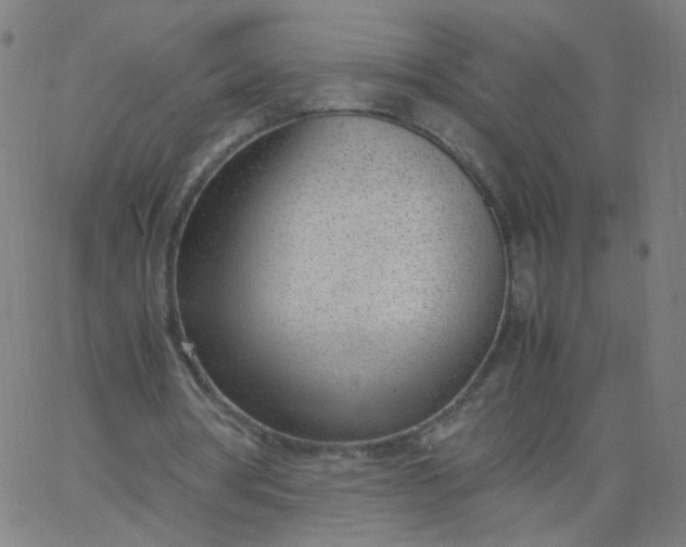 X0000067380386200604131912