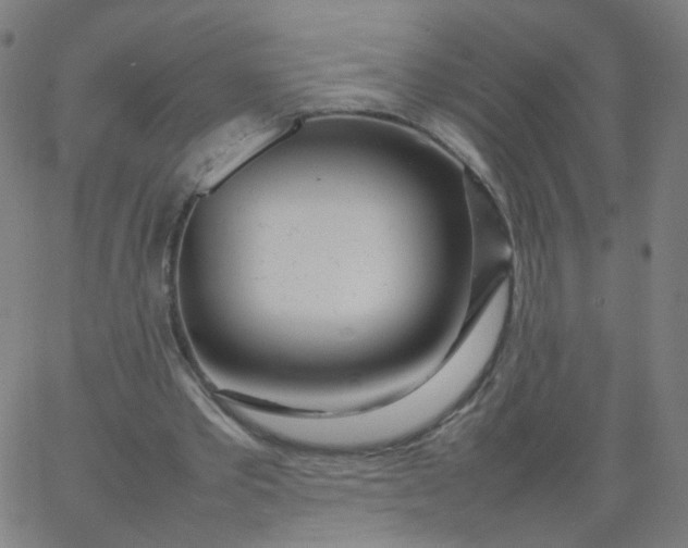 X0000067380389200604131912