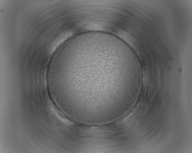 X0000067380390200604131912