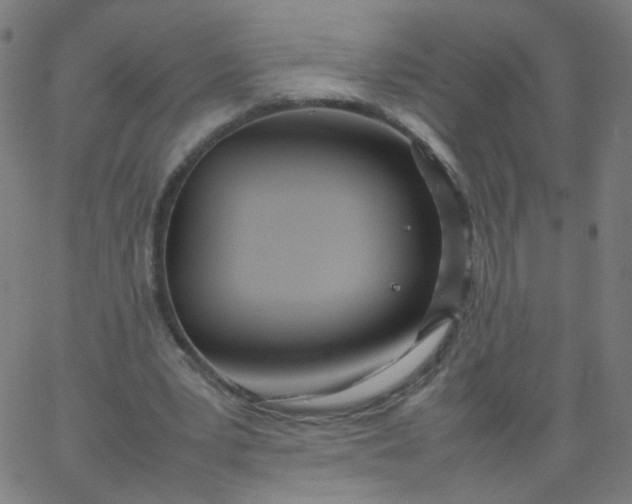 X0000067380391200604131912