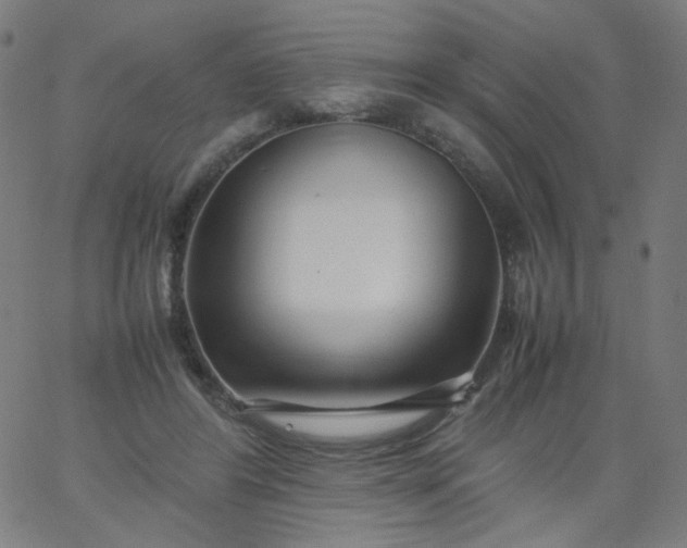 X0000067380404200604131911