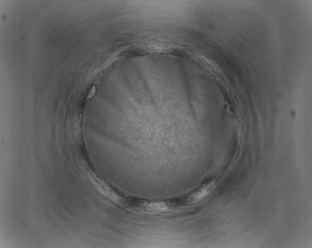 X0000067380409200604131911