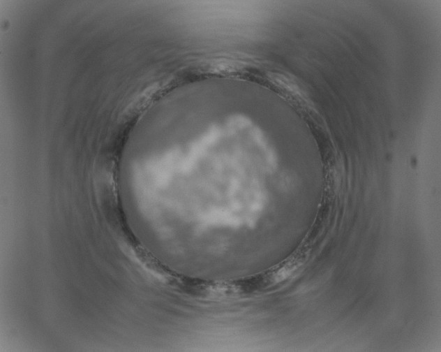 X0000067380415200604131911