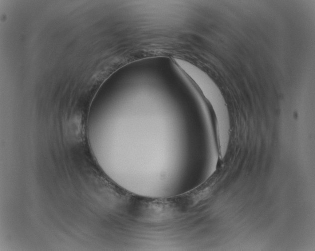 X0000067380420200604131911