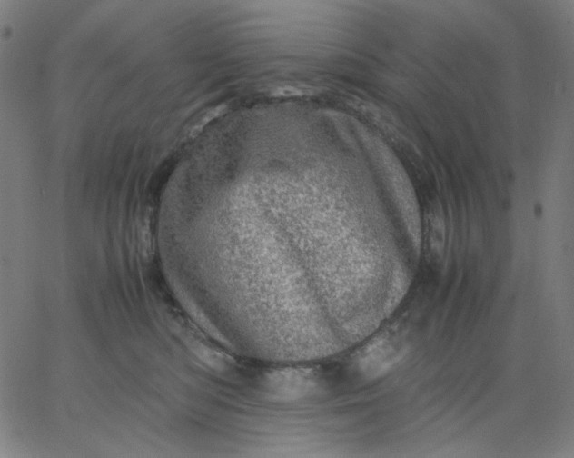 X0000067380422200604131911
