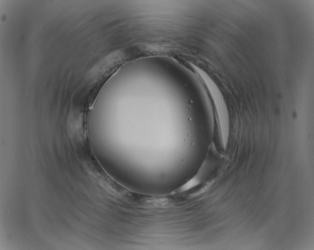 X0000067380428200604131911