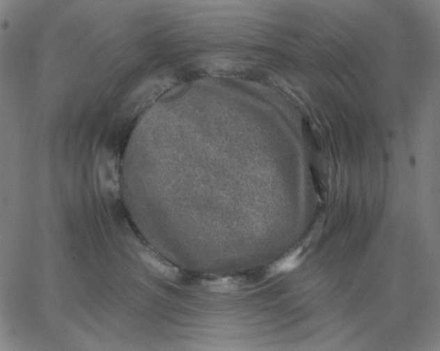 X0000067380430200604131911