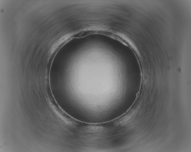X0000067380437200604131910