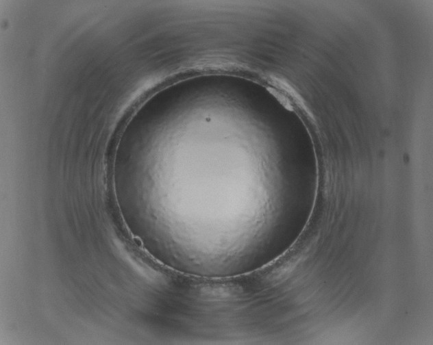 X0000067380439200604131910