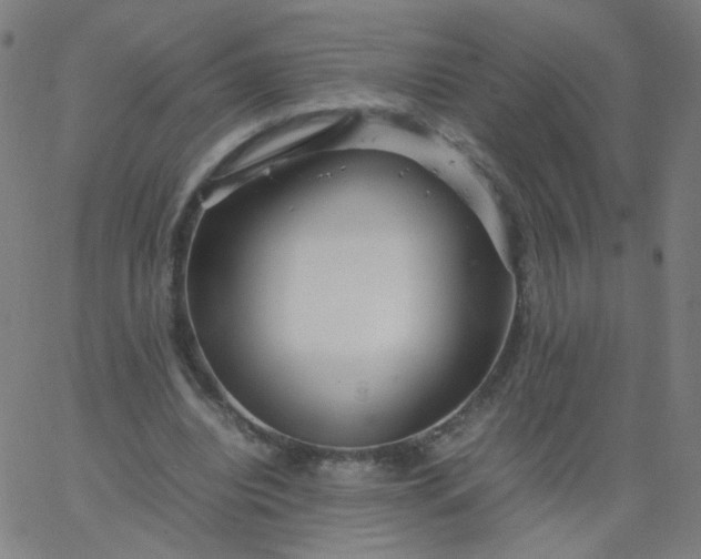 X0000067380440200604131910