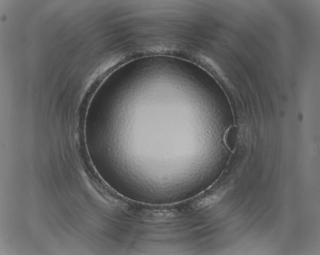 X0000067380443200604131910