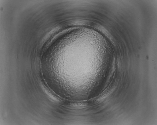 X0000067380445200604131910