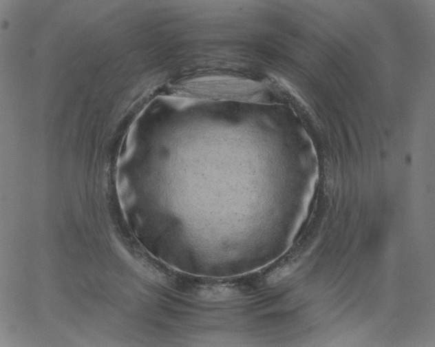 X0000067380451200604131910